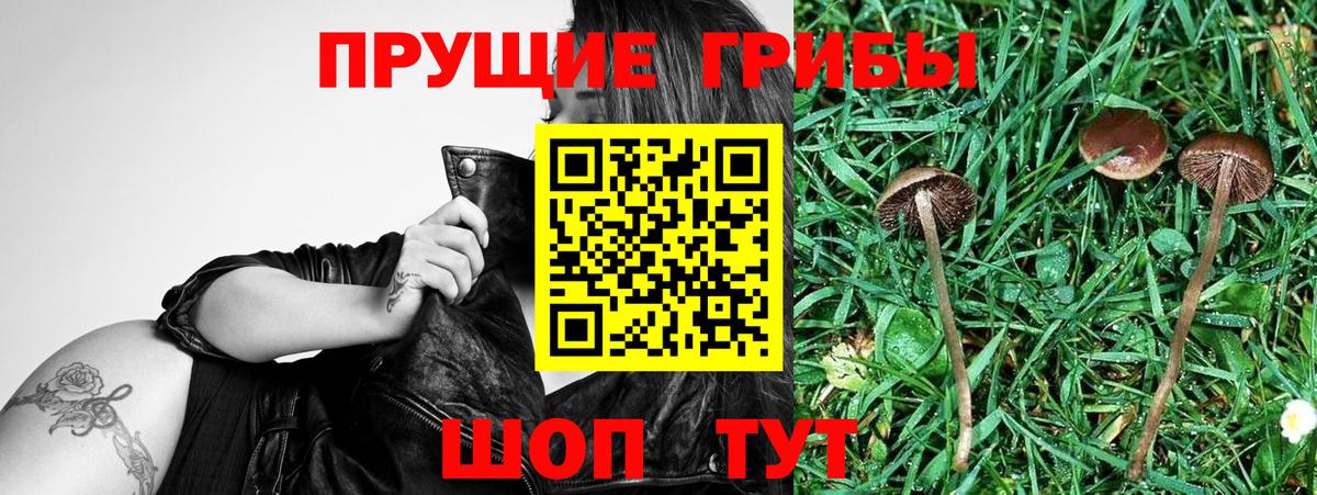 Псилоцибиновые грибы Magic Shrooms  Вход с VPN  Галлюциногенные грибы мицелий  Надым 